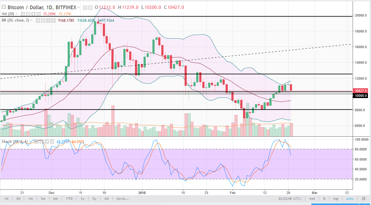 البتكوين/الدولار الأمريكي 